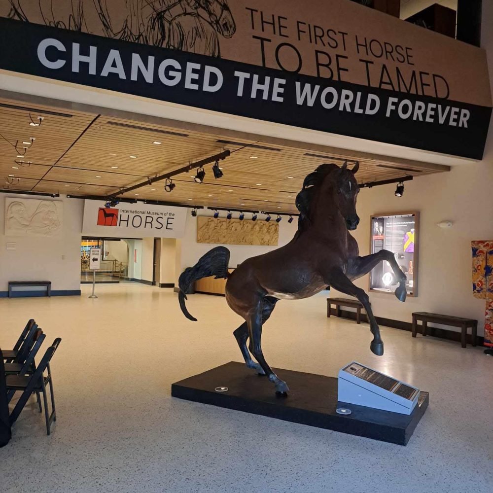 FB_IMG_1755092115137