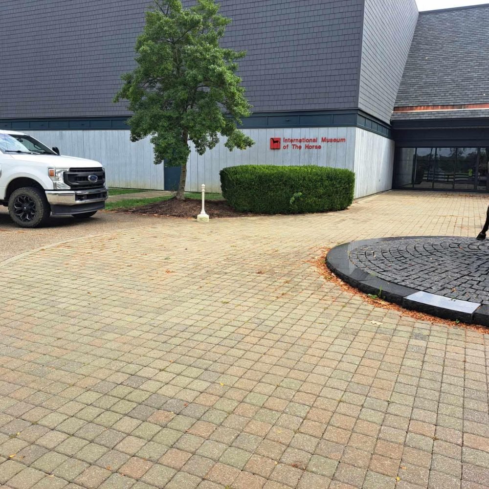 FB_IMG_1755092145701